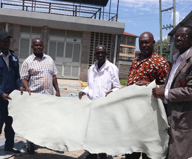 4.	Joshua Nyakundi (2nd Right) of the Institute's Research, Innovation and IP Information Division holds a hide undergoing processing with, among others, entrepreneurs like Evans Obanda (Right) and Raphael Oguta (Left) during the Institute’s officers visit to the Kenya Industrial Research & Development Institute (KIRDI)'s Leather Development Research Centre (LD-RC) in Kisumu on 7th March, 2024